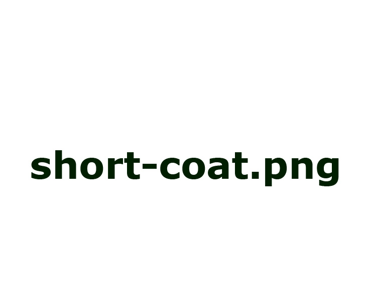 Short coat